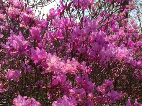 N＿1221 Aobadai主图