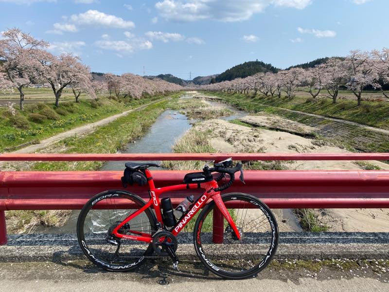 Natsui Sembong Sakura-小野町必去景点