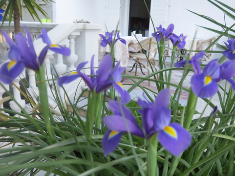 勒特姆特酒店和一室公寓主图