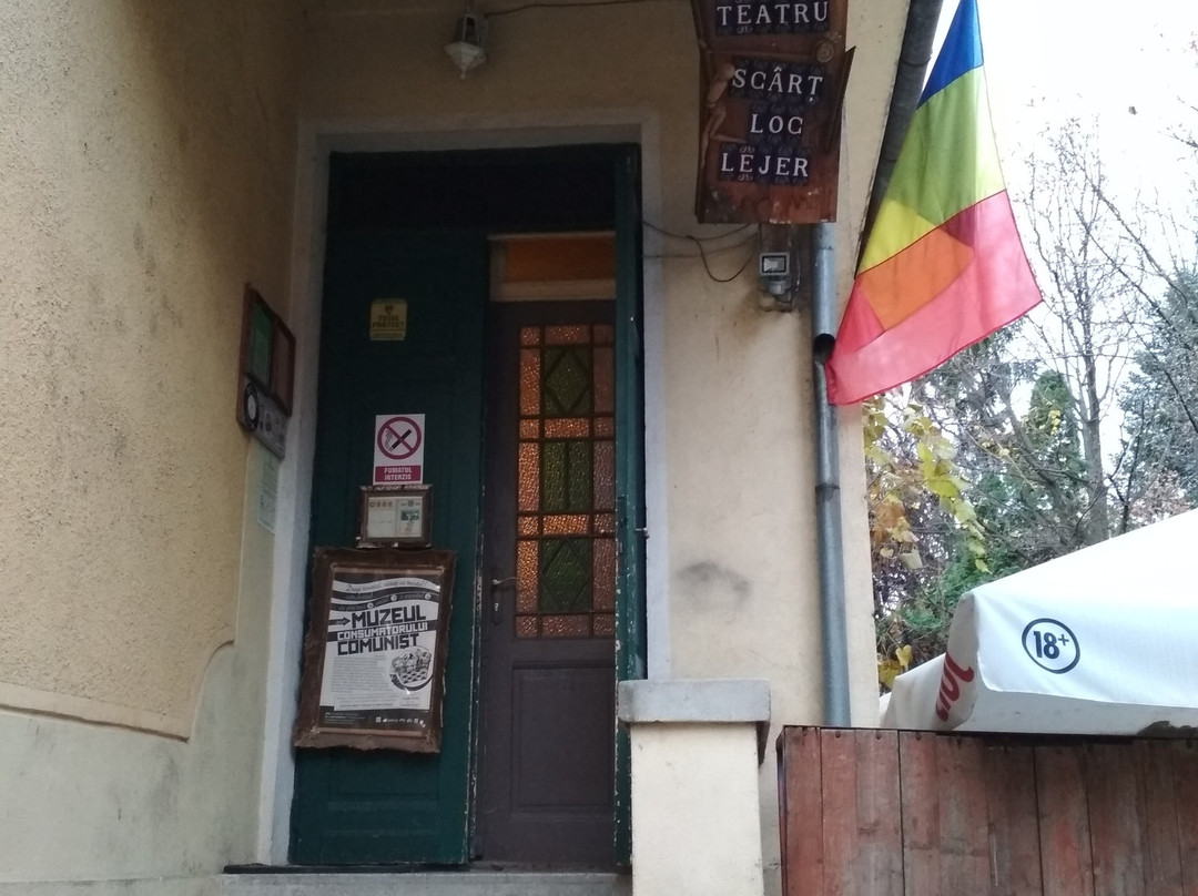 Muzeul Consumatorului Comunist景点图片