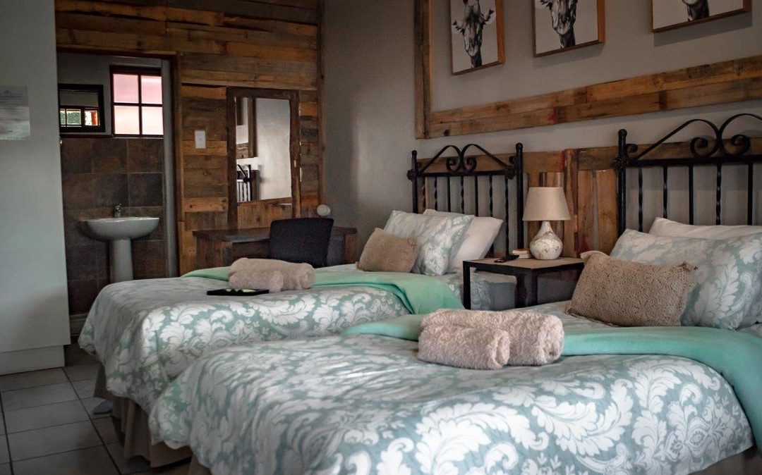 Diamond Rose Guest House主图