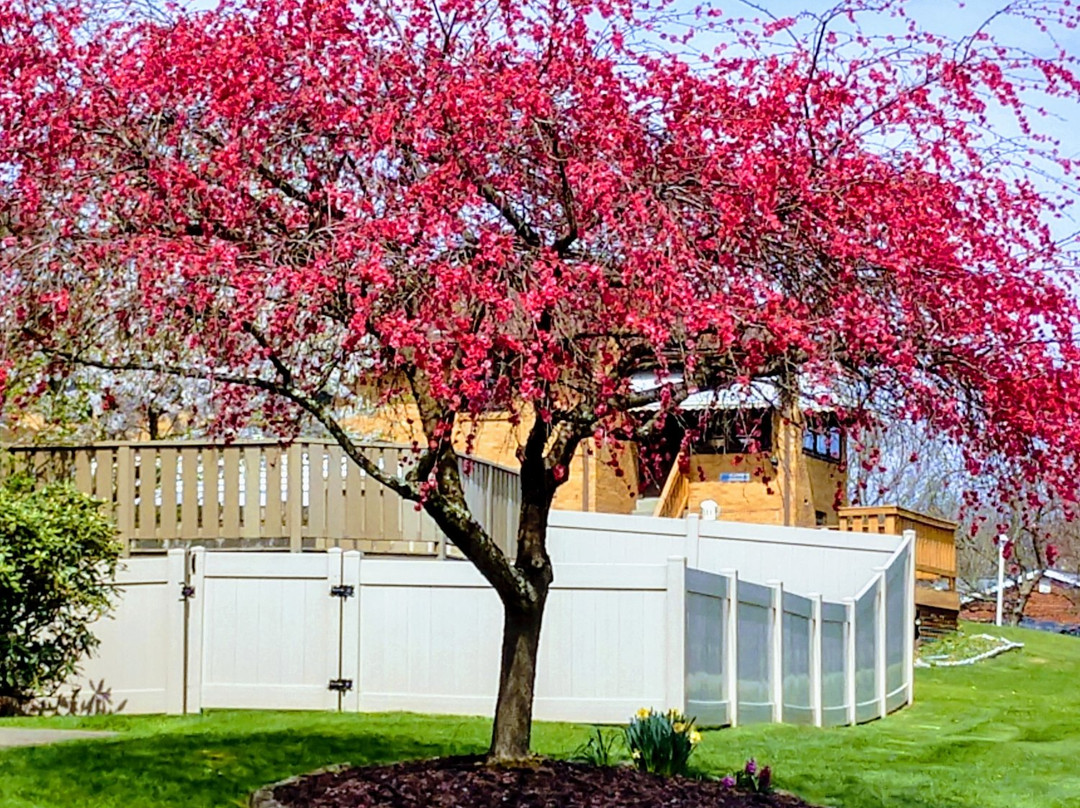 Rillton旅游攻略图片