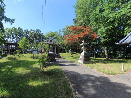 Keyaki of Otakamori-新泻市必去景点