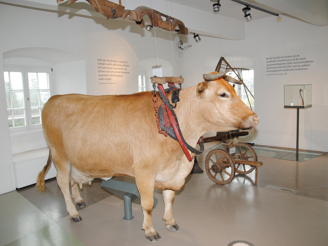 Eifelmuseum-Mayen必去景点