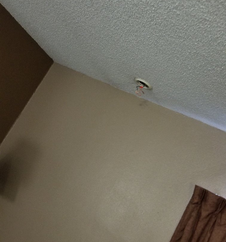 Days Inn by Wyndham Jamestown主图