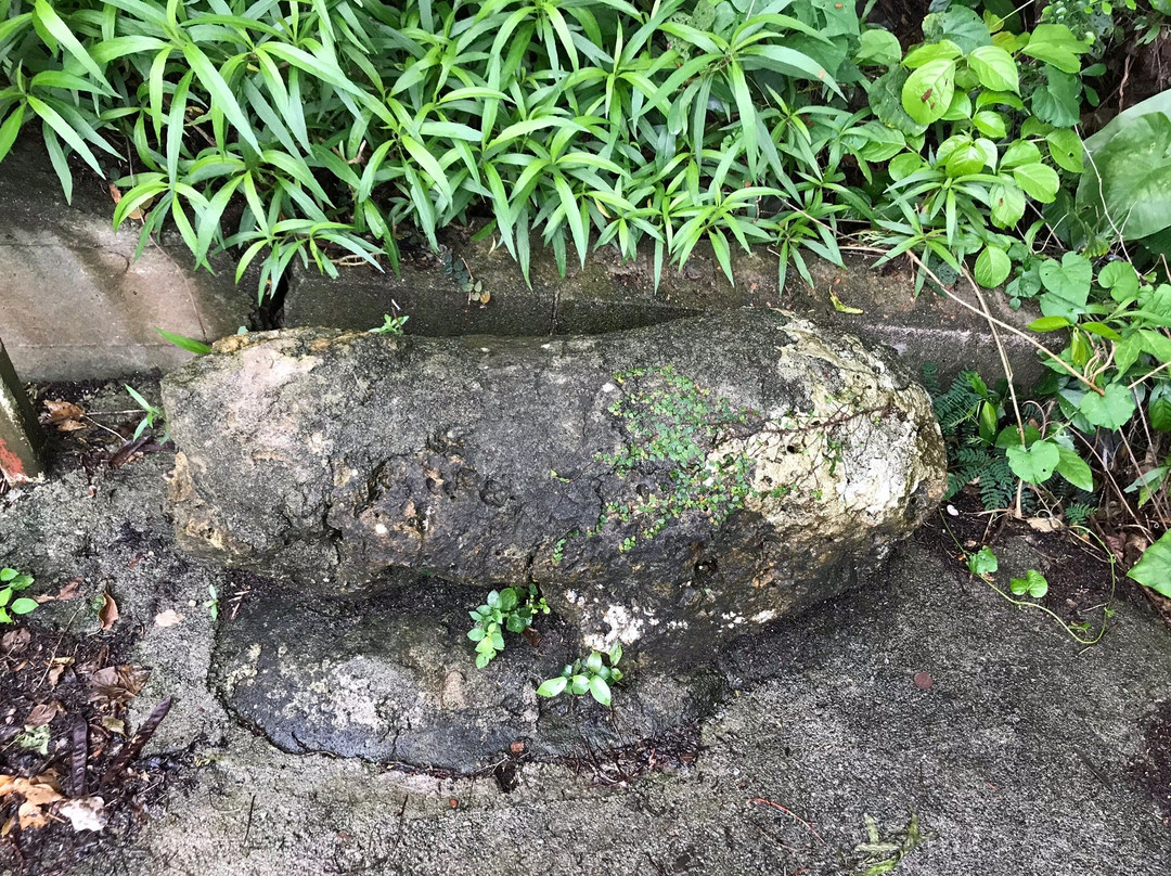 Stone Statue of Lion in Kanegusuku景点图片