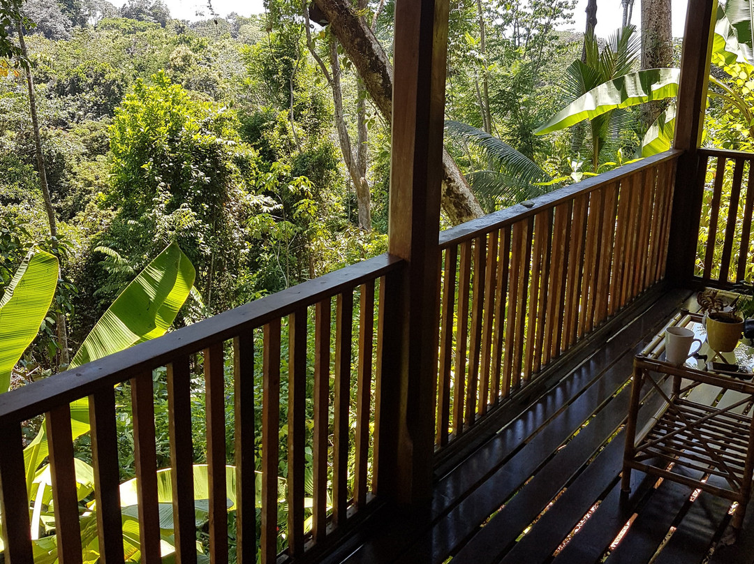 Villas En El Bosque主图