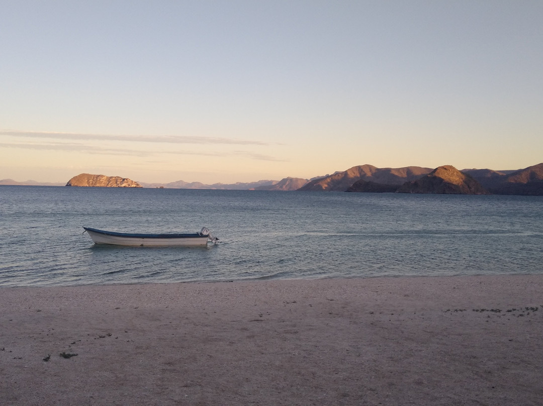 Bahía Concepción-Mulege必去景点