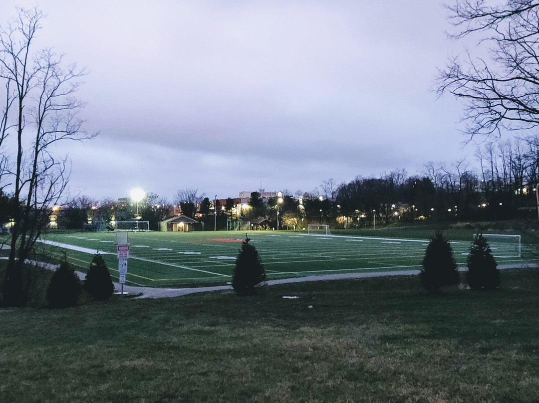 Village Green Park景点图片