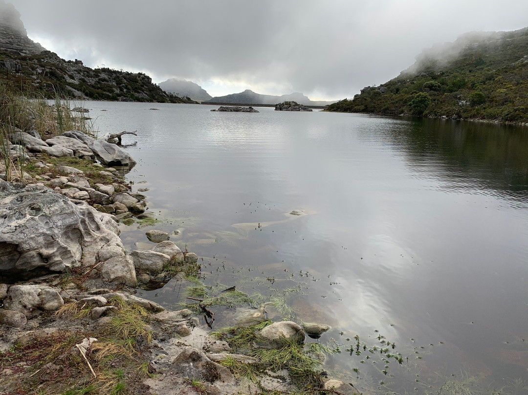 Constantia Nek-Cape Peninsula National Park必去景点