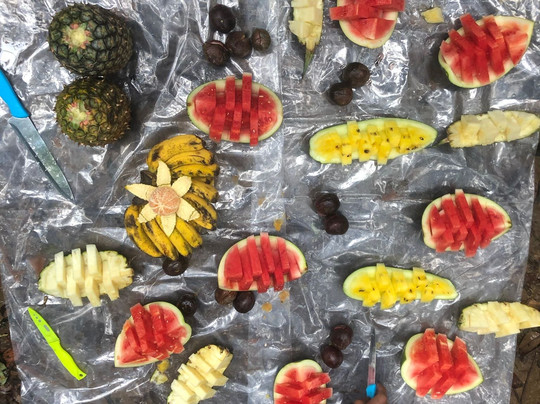 Jungle Trekking Sumatra-棉兰必去景点