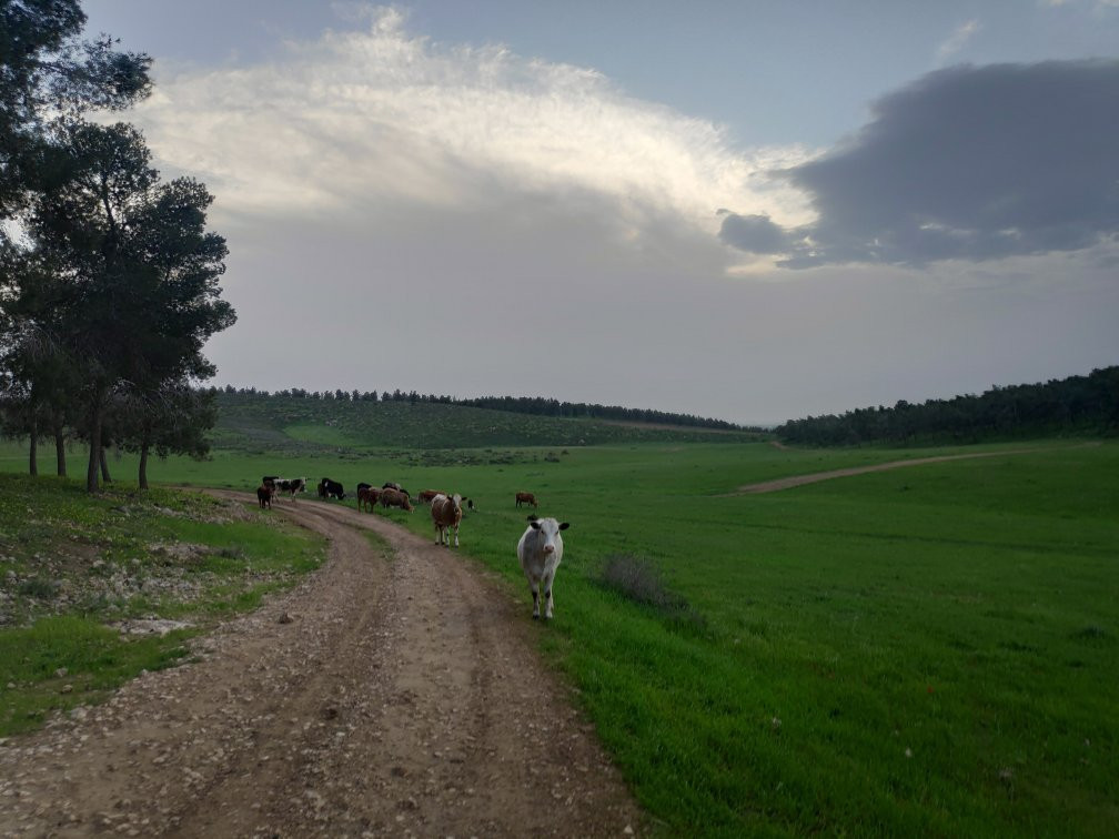 The Museum of Bedouin Culture-贝尔谢巴必去景点