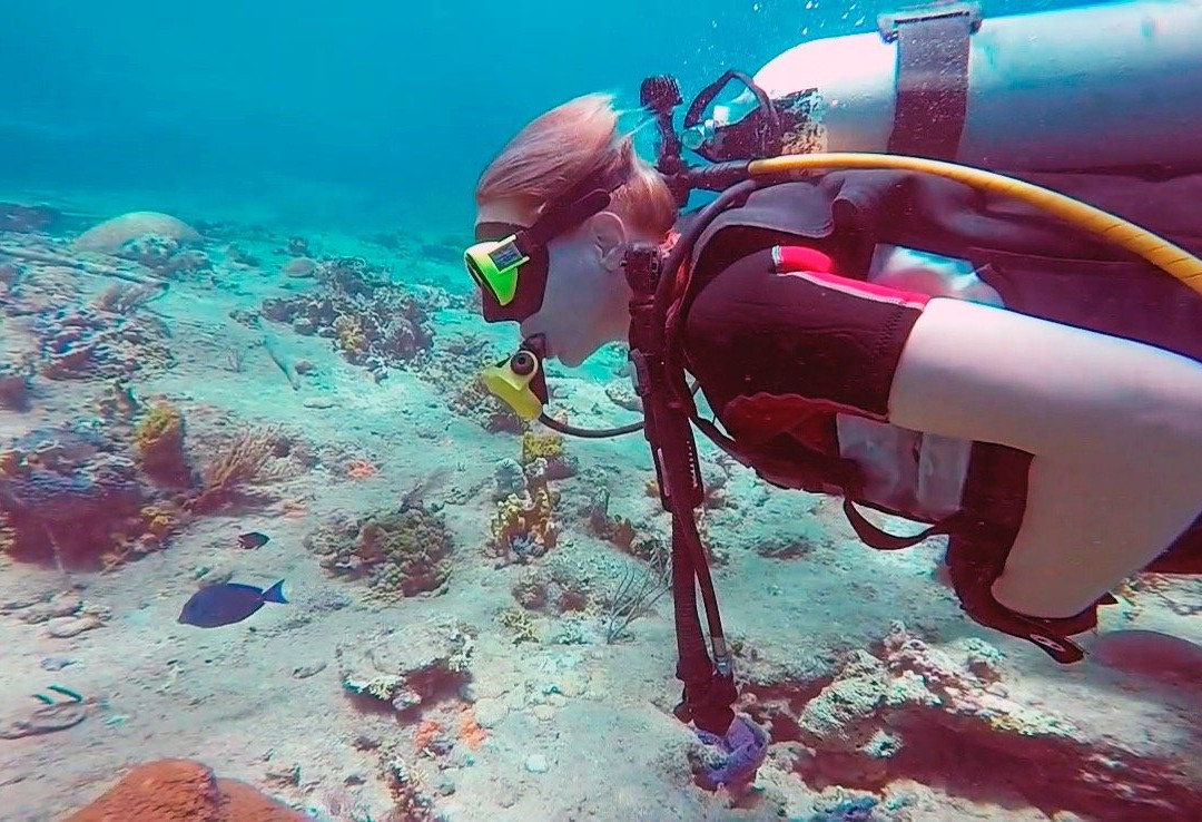 Shark's Friends Diving Center-Playa Santa Lucia必去景点