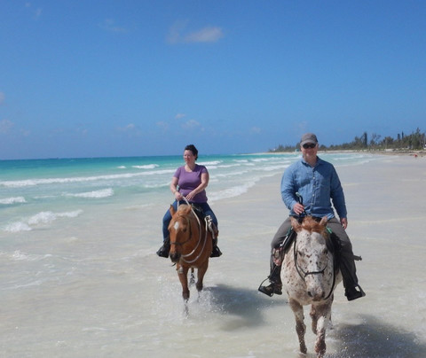 Pinetree Stables-弗里波特必去景点
