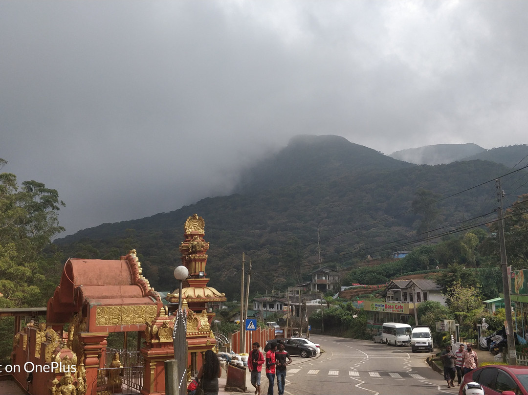 Seemax Travels and Tours-科伦坡必去景点