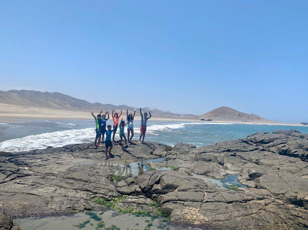 Playa Punta Patillos