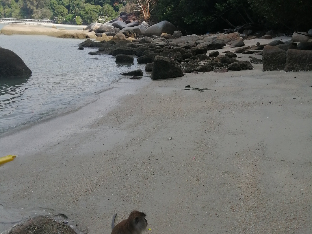Monkey Beach景点图片