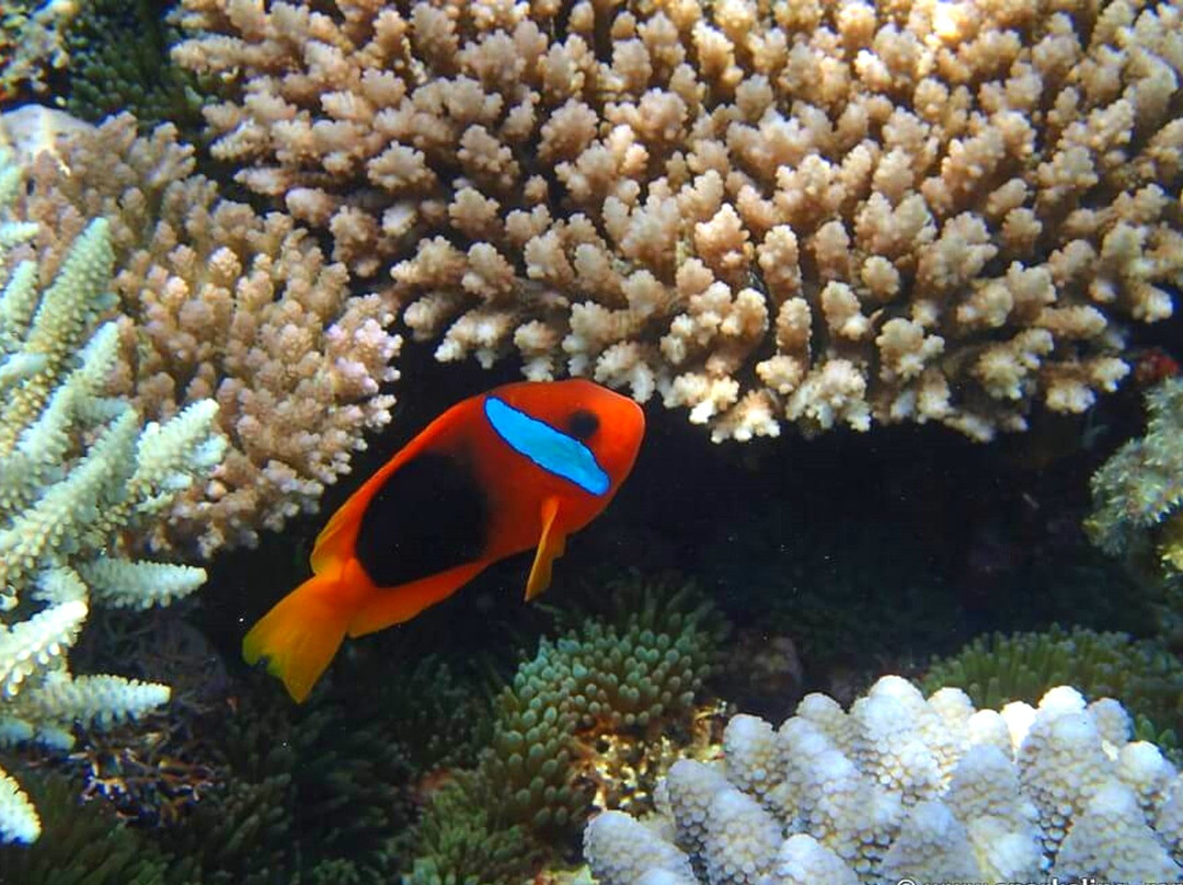 Baie de Jinek-Lifou必去景点