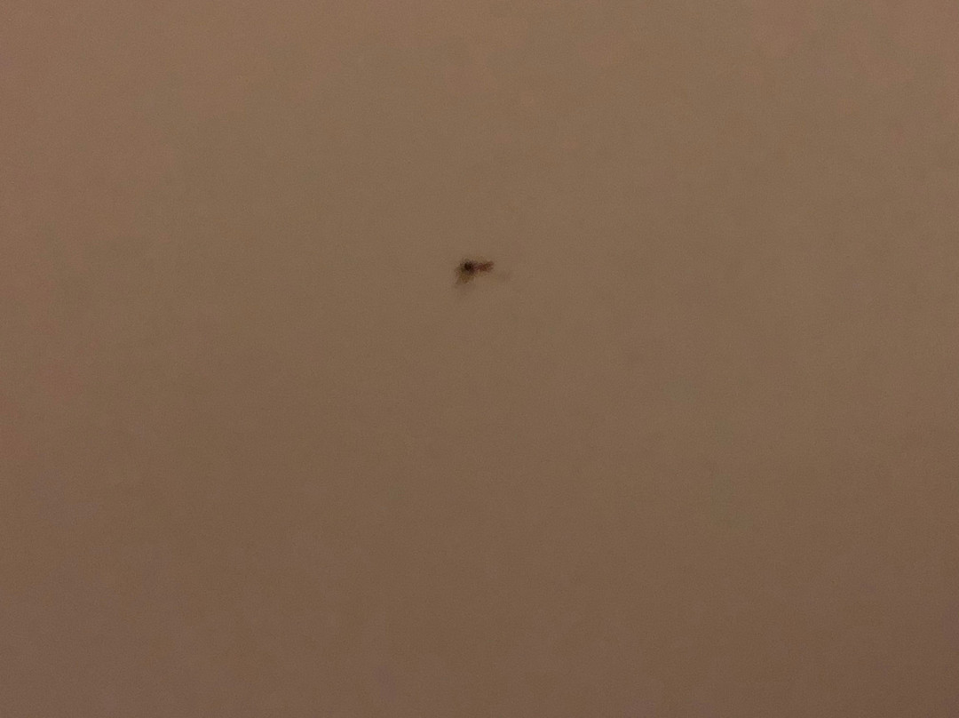 Stay Hotel Guimarães Centro主图