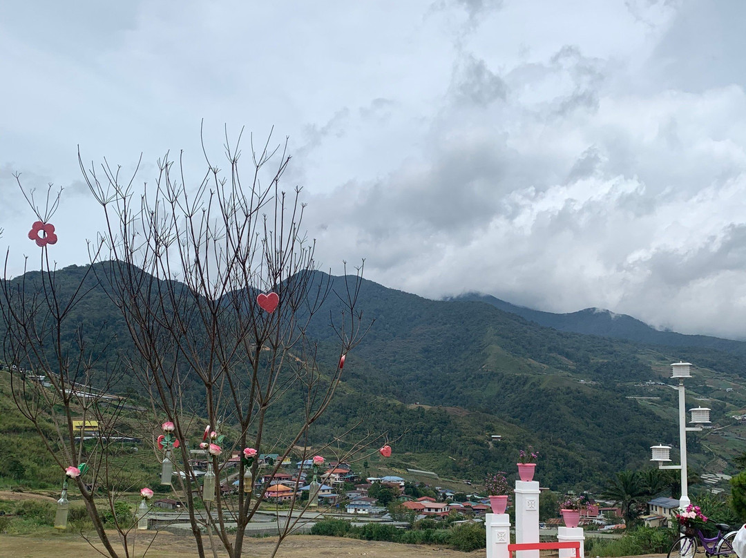 Kundasang Market-昆达山必去景点