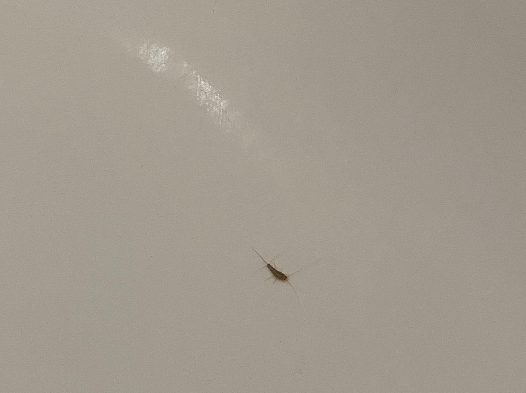 Hampton Inn Quincy主图