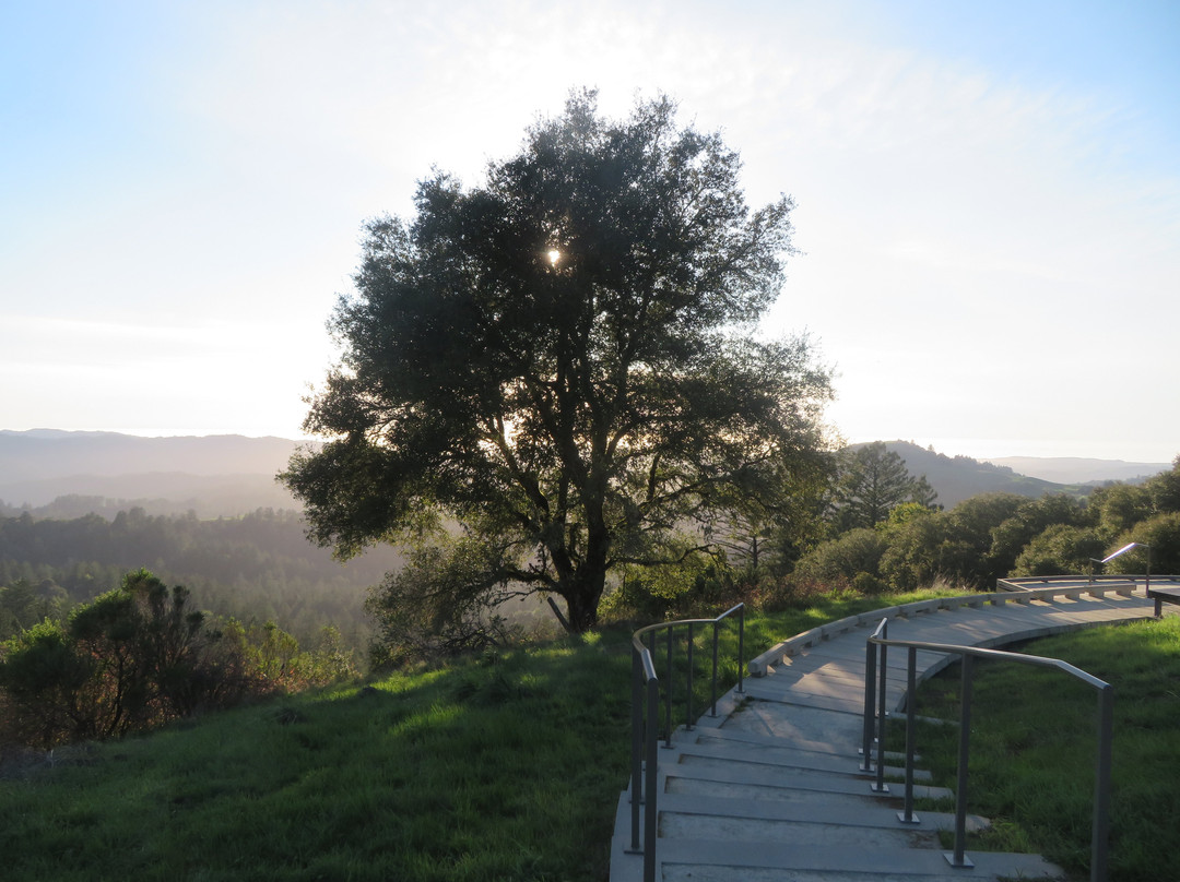 Russian Ridge Open Space Preserve-雷德伍德城必去景点