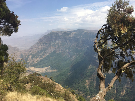 Simien Adventure Tours-贡德尔必去景点