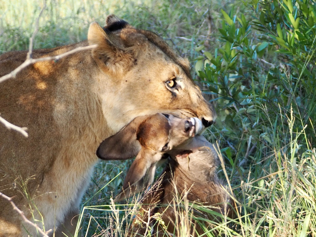 Mangaleka Africa景点图片