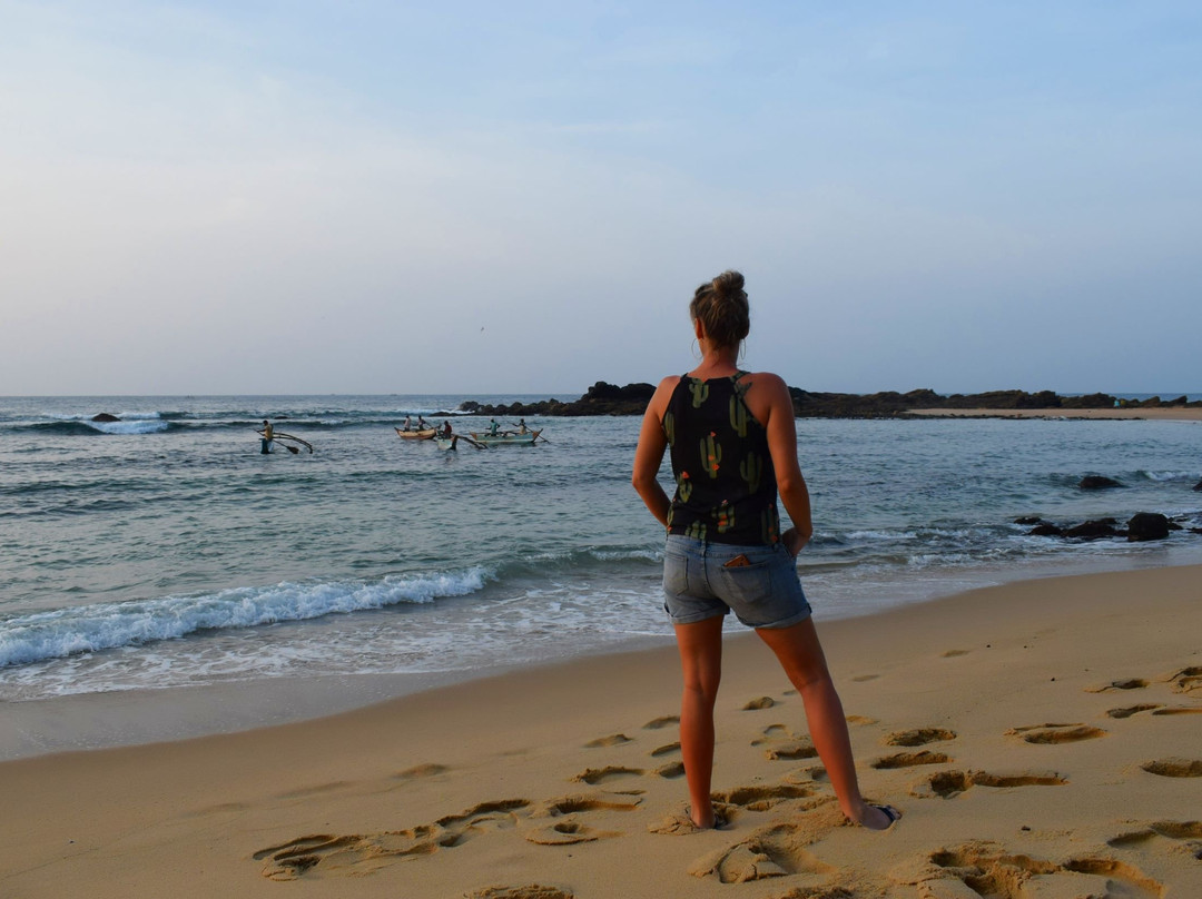 White Lion Paradise主图