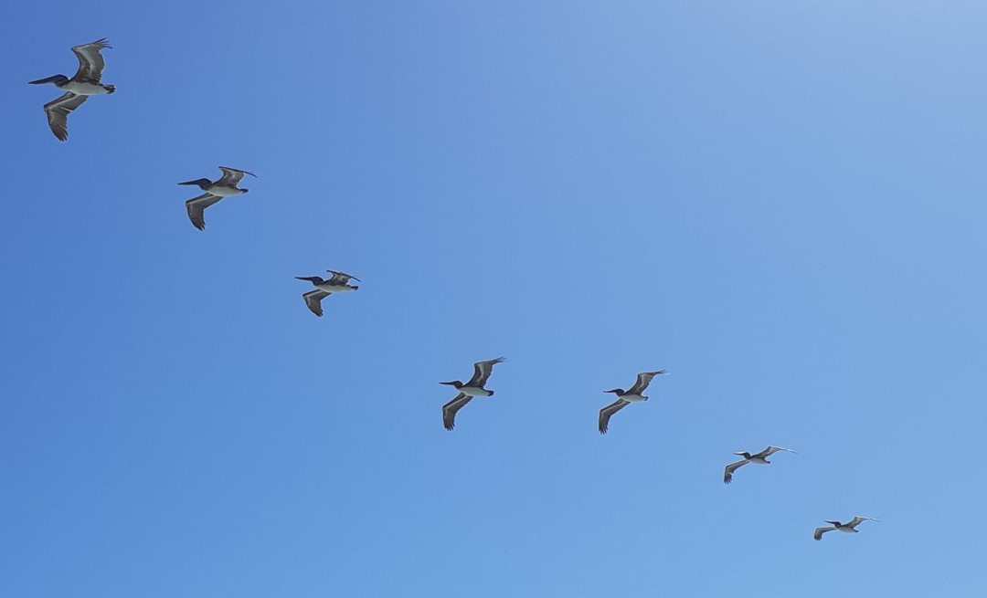 Hightower Beach Park景点图片