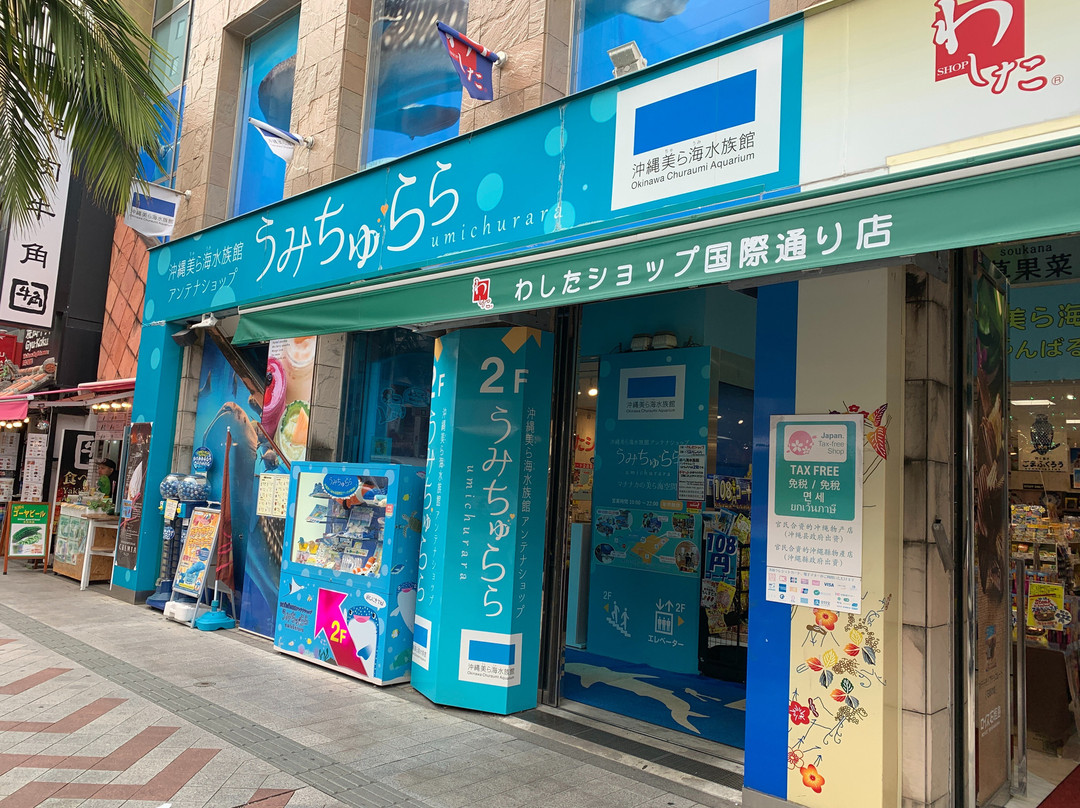 冲绳美之海水族馆-那霸市必去景点