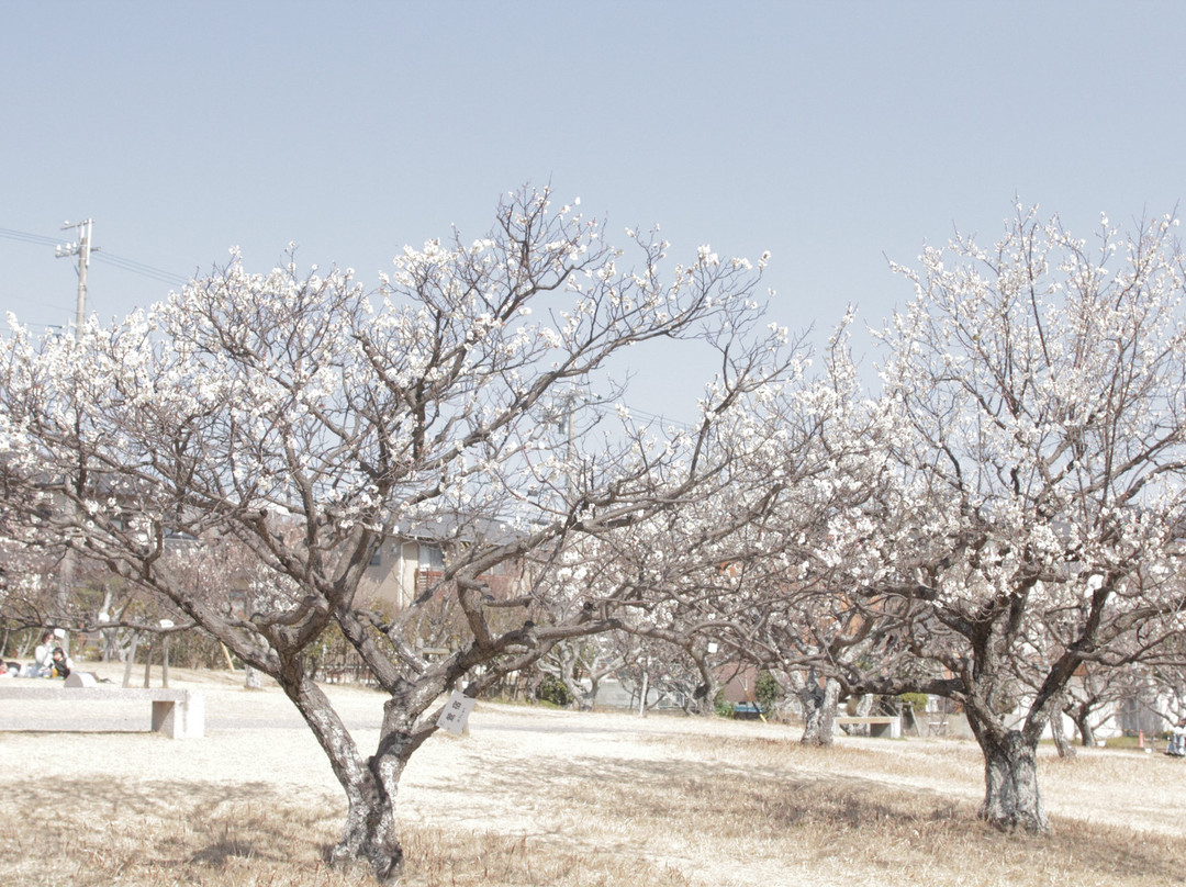 Okazaki Minami Park-冈崎市必去景点