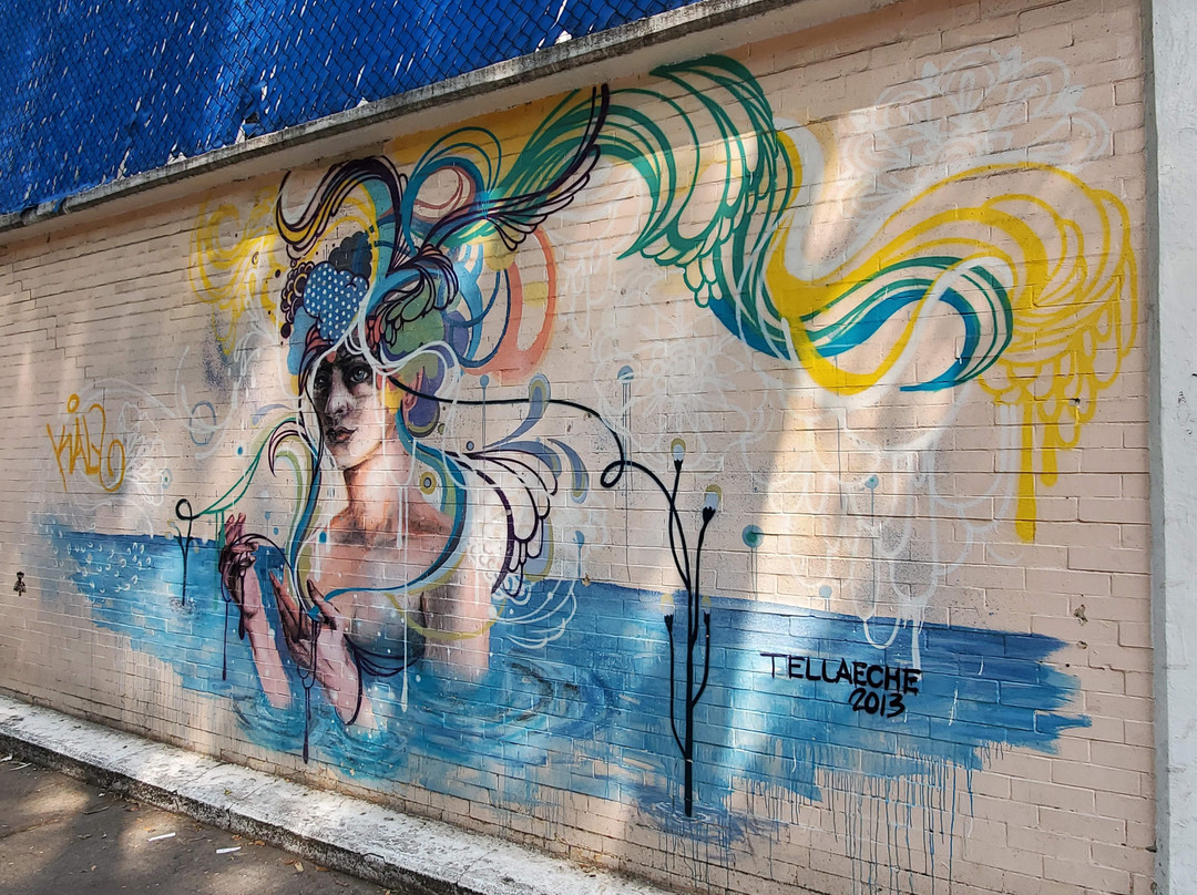 Street Art Roma District-墨西哥城必去景点