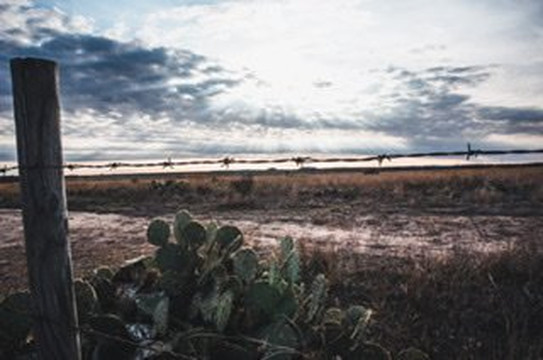 San Angelo State Park-圣安吉洛必去景点