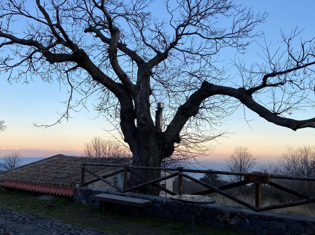 Agriturismo Feudo Magazzeni主图