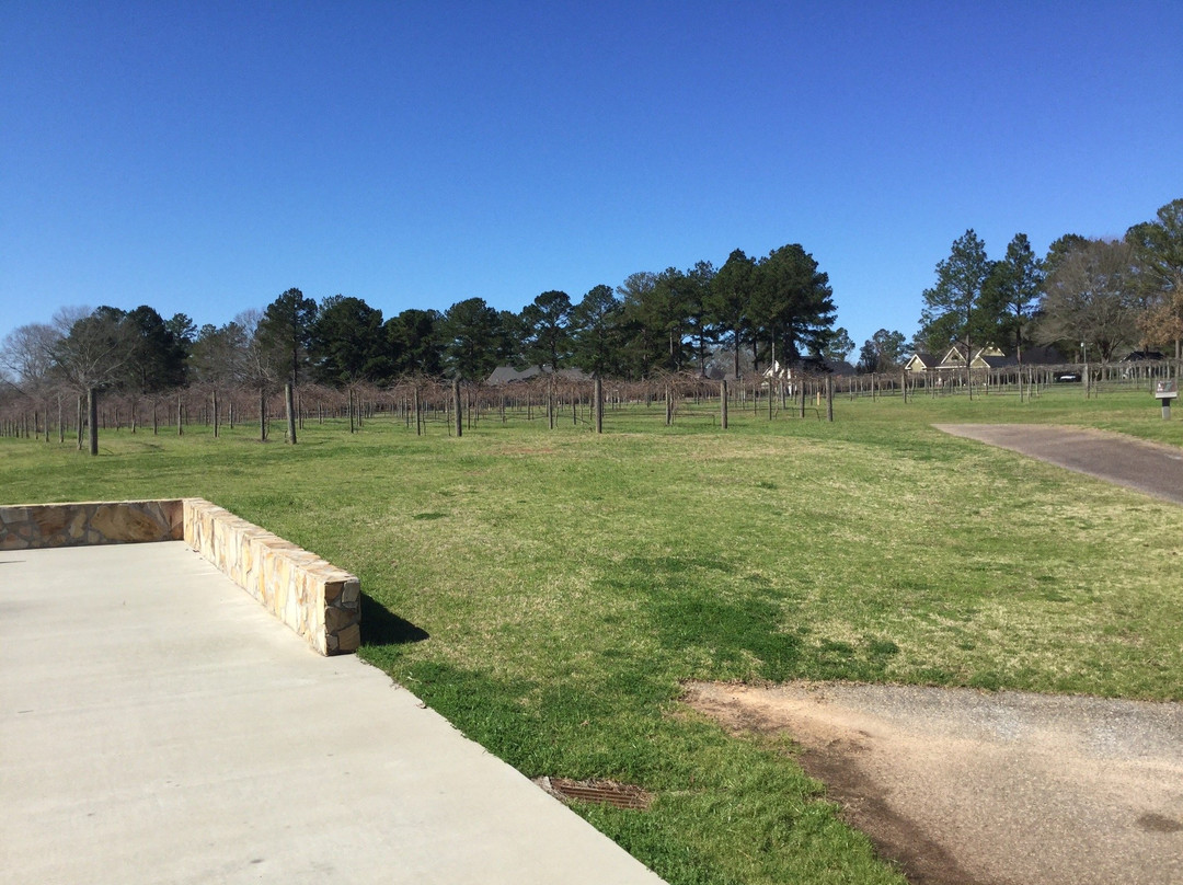 Wolf Creek Plantation Winery-Americus必去景点