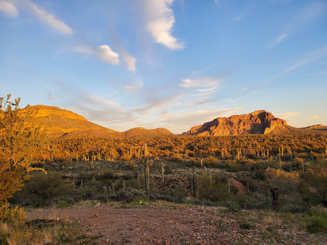 Arizona ATV Adventures-Florence必去景点
