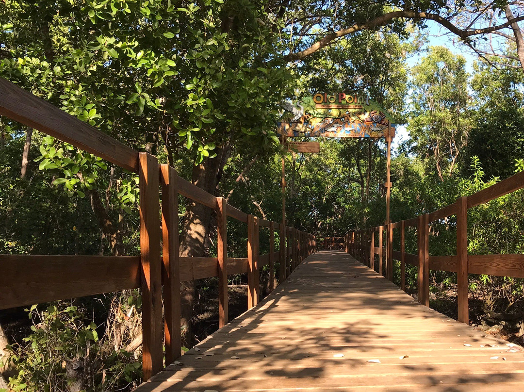 Manglares de Old Point National Park-圣安德烈斯必去景点