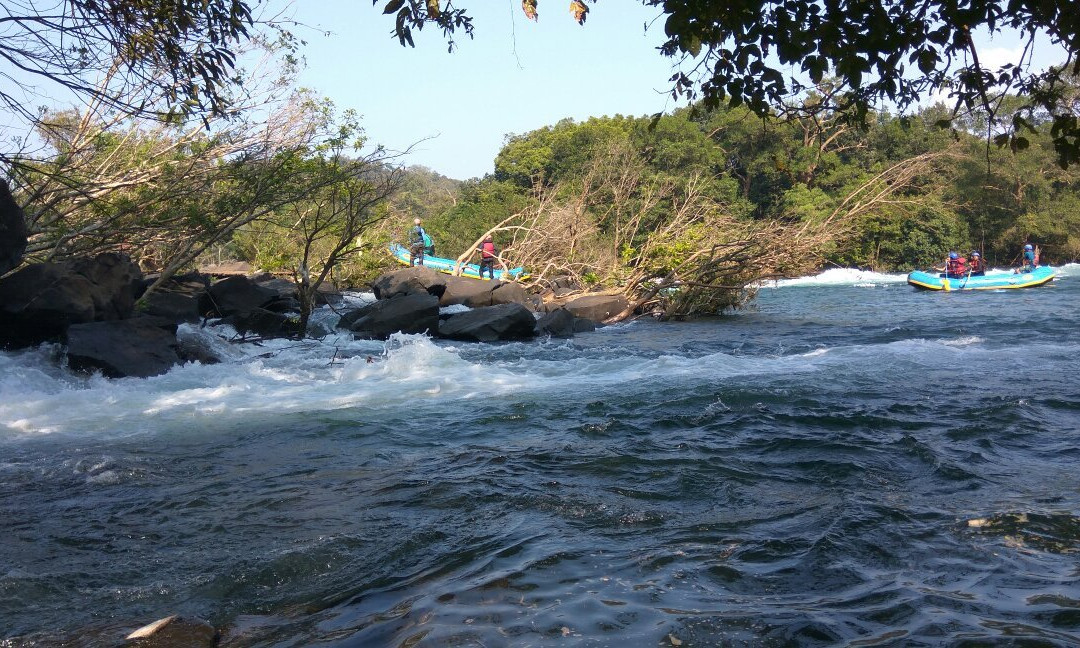 Kali River景点图片