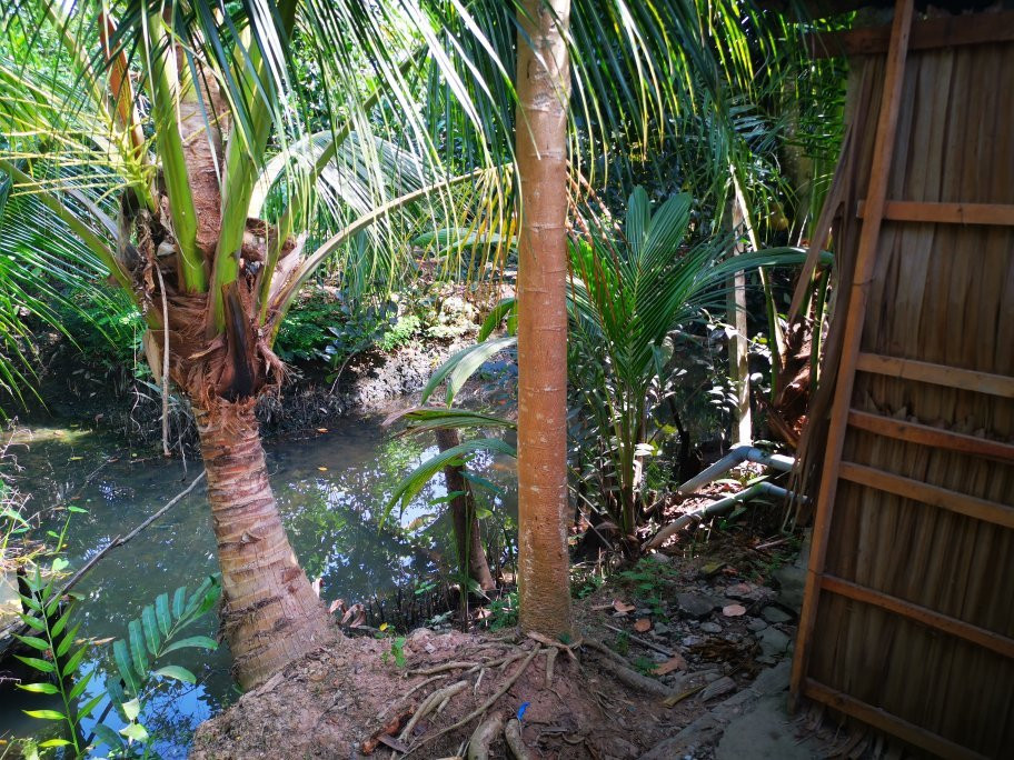 Mekong Family Nam Giang Homestay主图