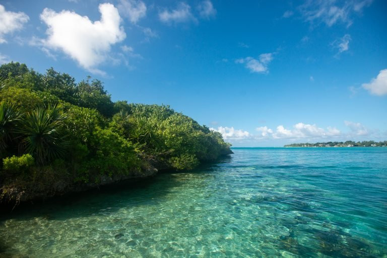 Ile aux Aigrettes Nature Reserve景点图片