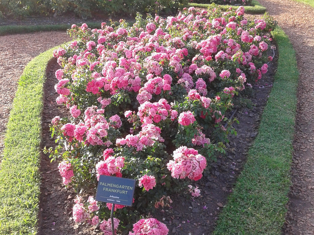 Rosedal De Palermo-布宜诺斯艾利斯必去景点