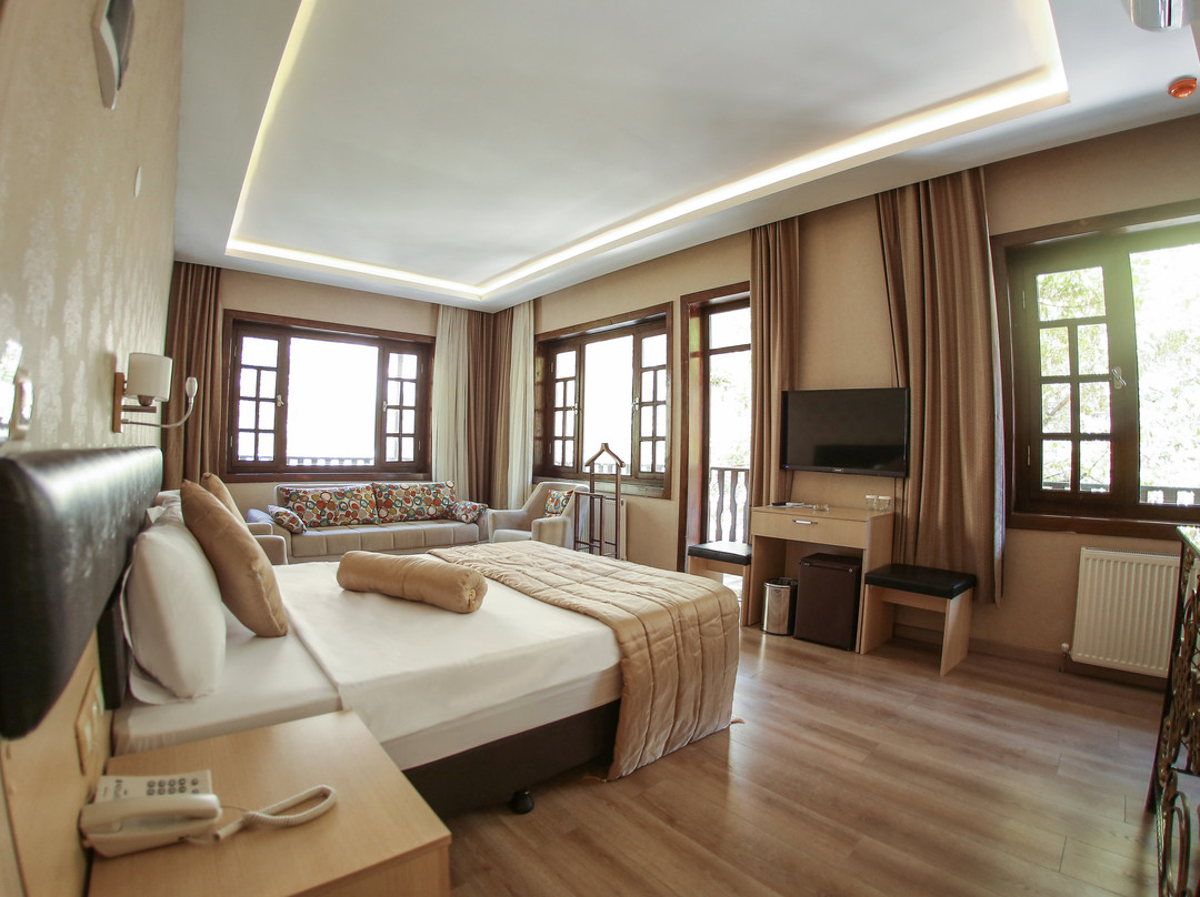 Payidar Hotel主图
