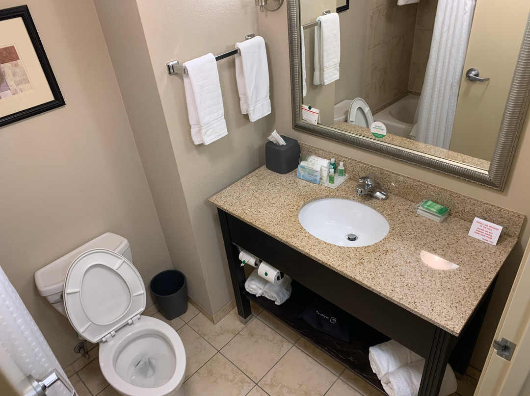 布莱斯维尔假日酒店主图