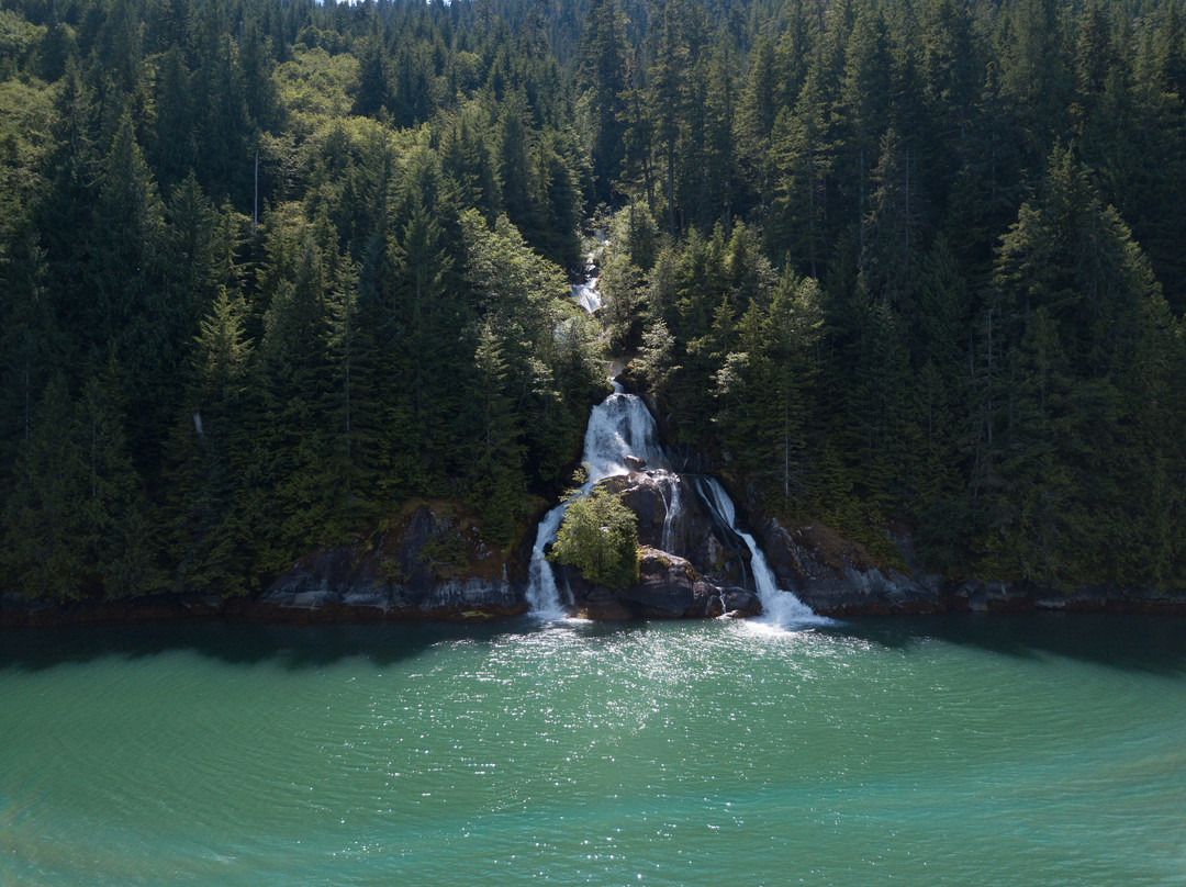 Bella Coola Grizzly Tours Inc.