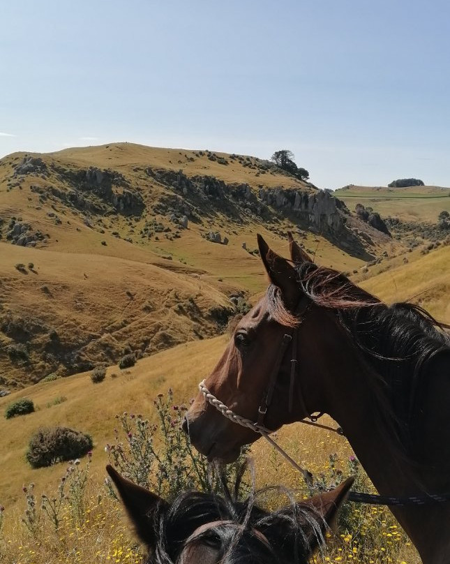 Stone Hill Horse Trek景点图片