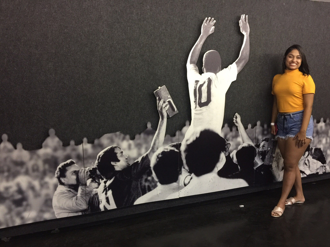 Urbano Caldeira Stadium-桑托斯必去景点