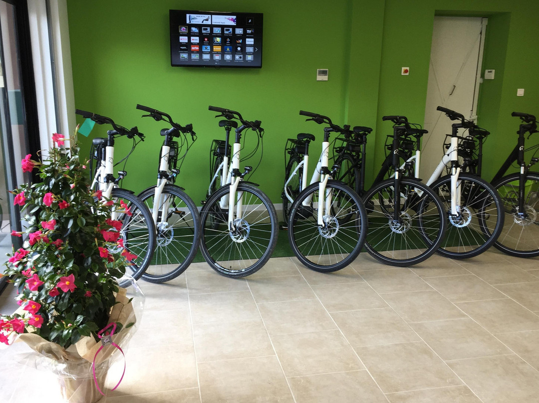 Stations Bee's Apt - location vélos électriques景点图片