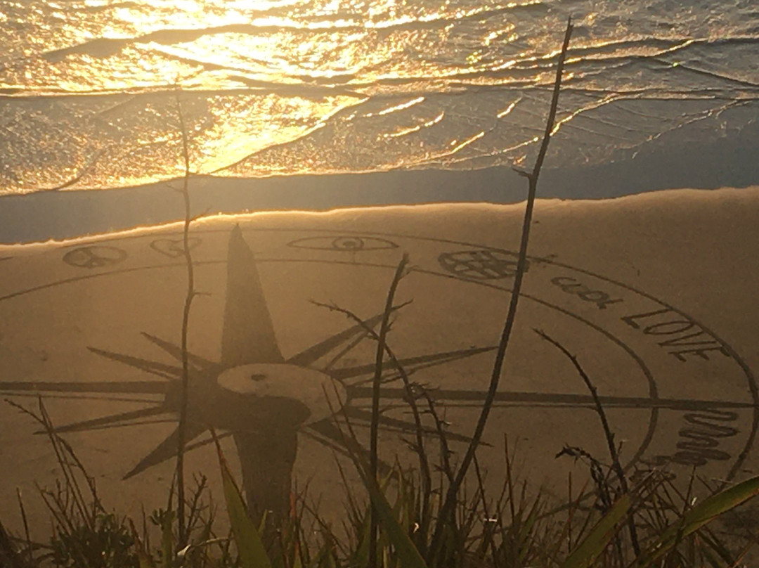 Muriwai Beach景点图片