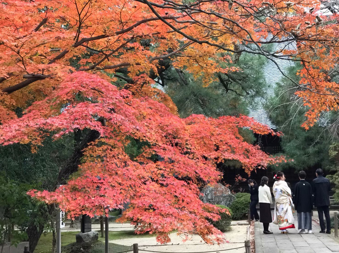Nakain Temple-川越市必去景点